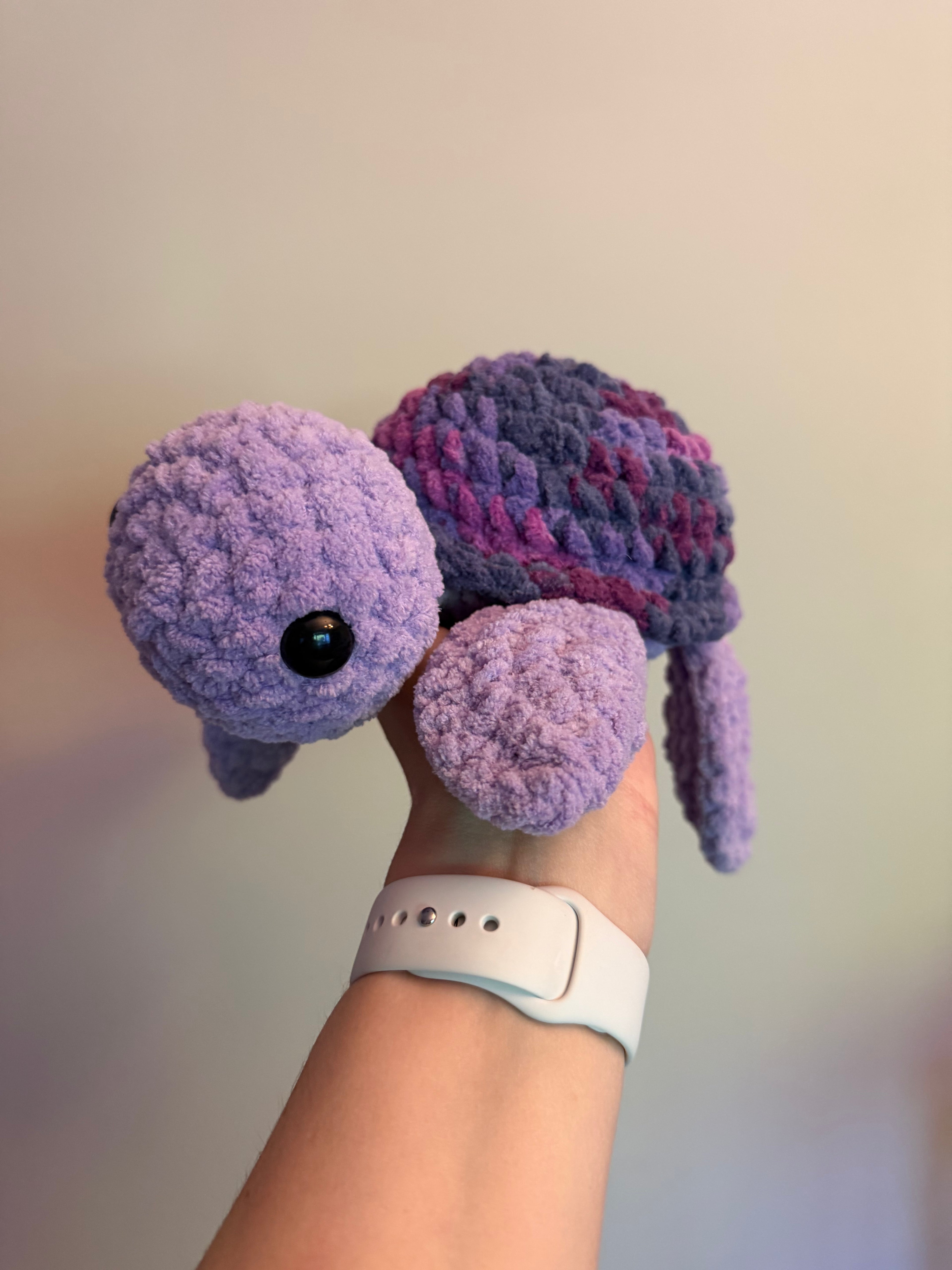 Sea Turtle