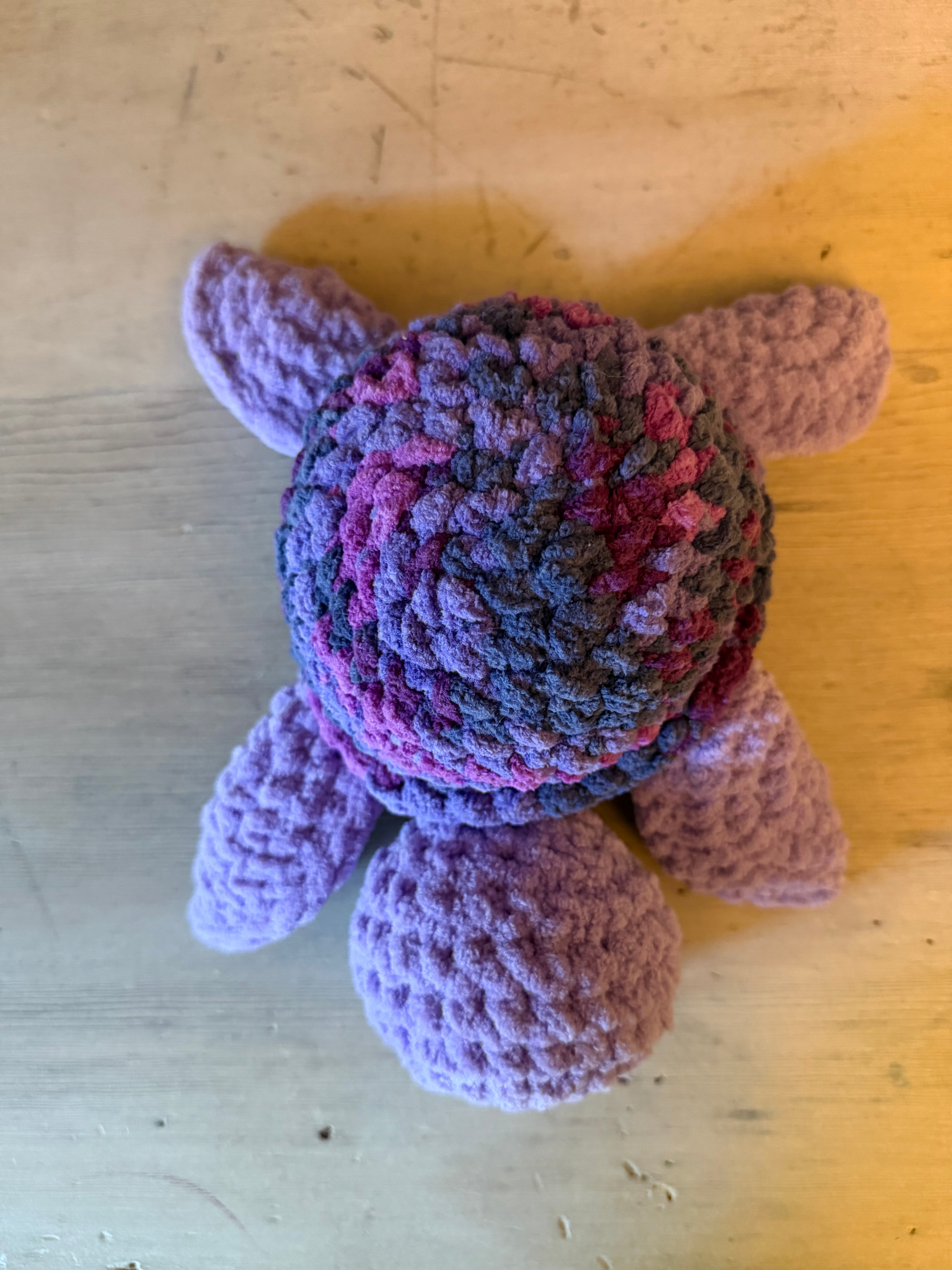 Sea Turtle