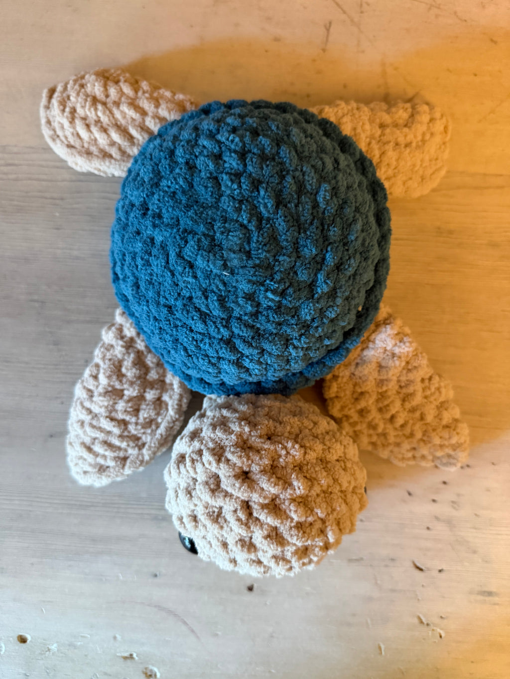 Sea Turtle