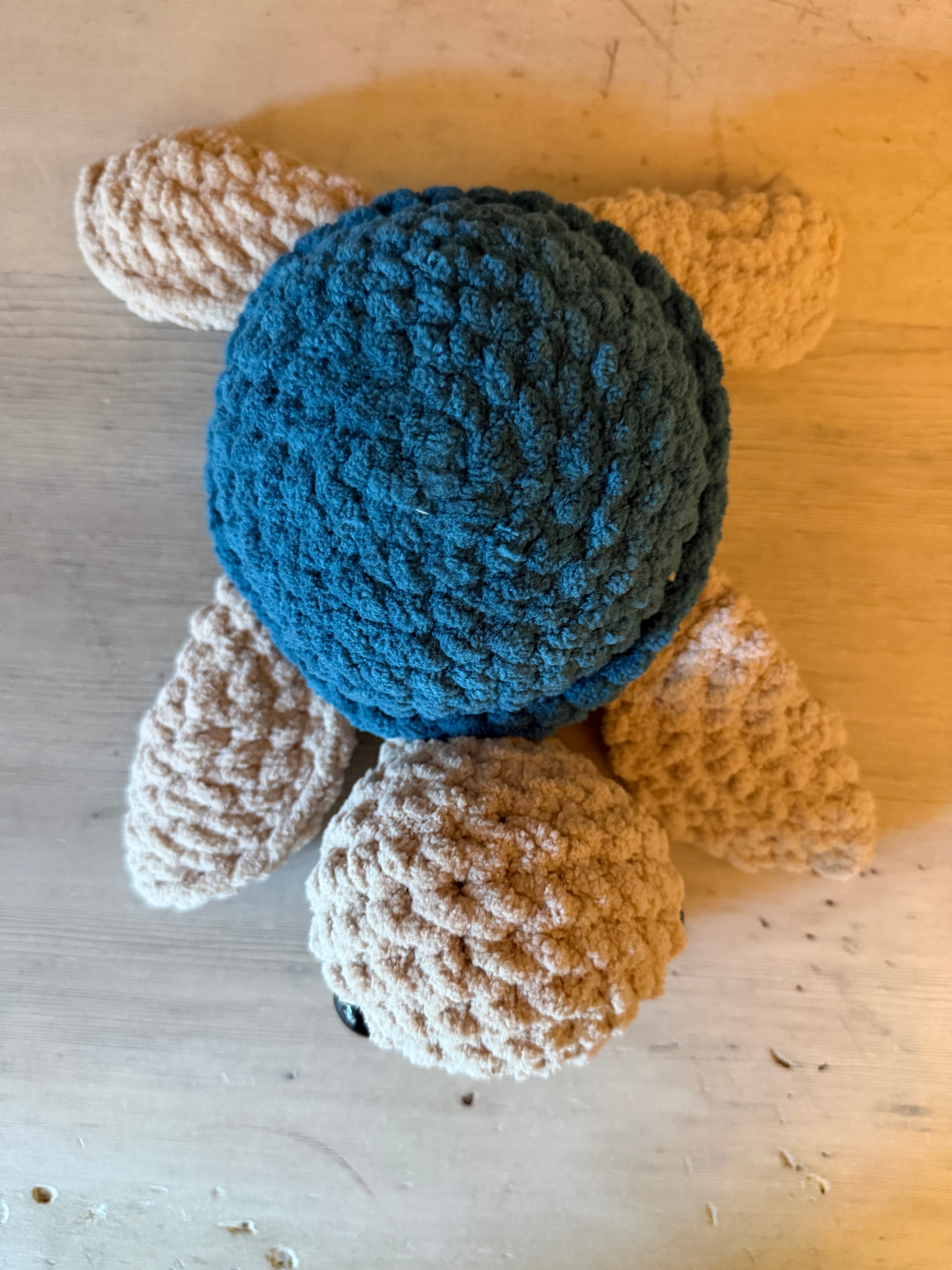 Sea Turtle
