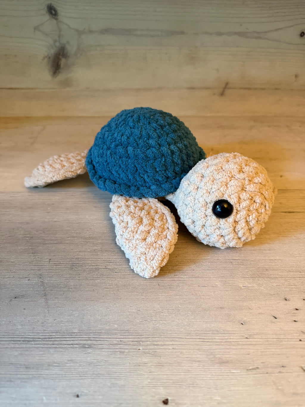 Sea Turtle