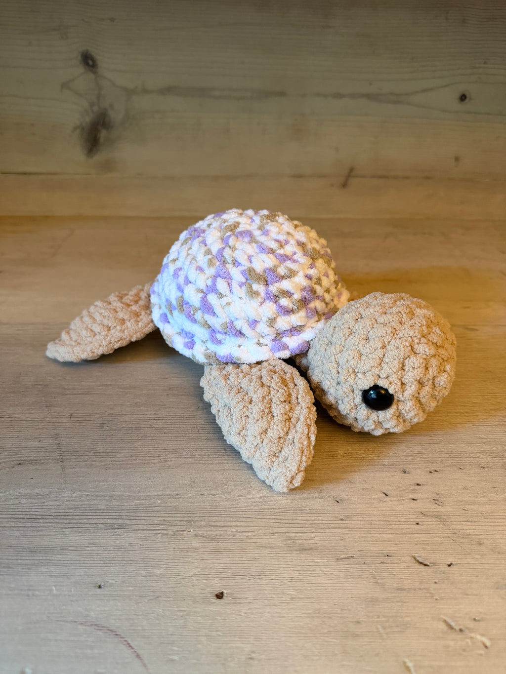 Sea Turtle