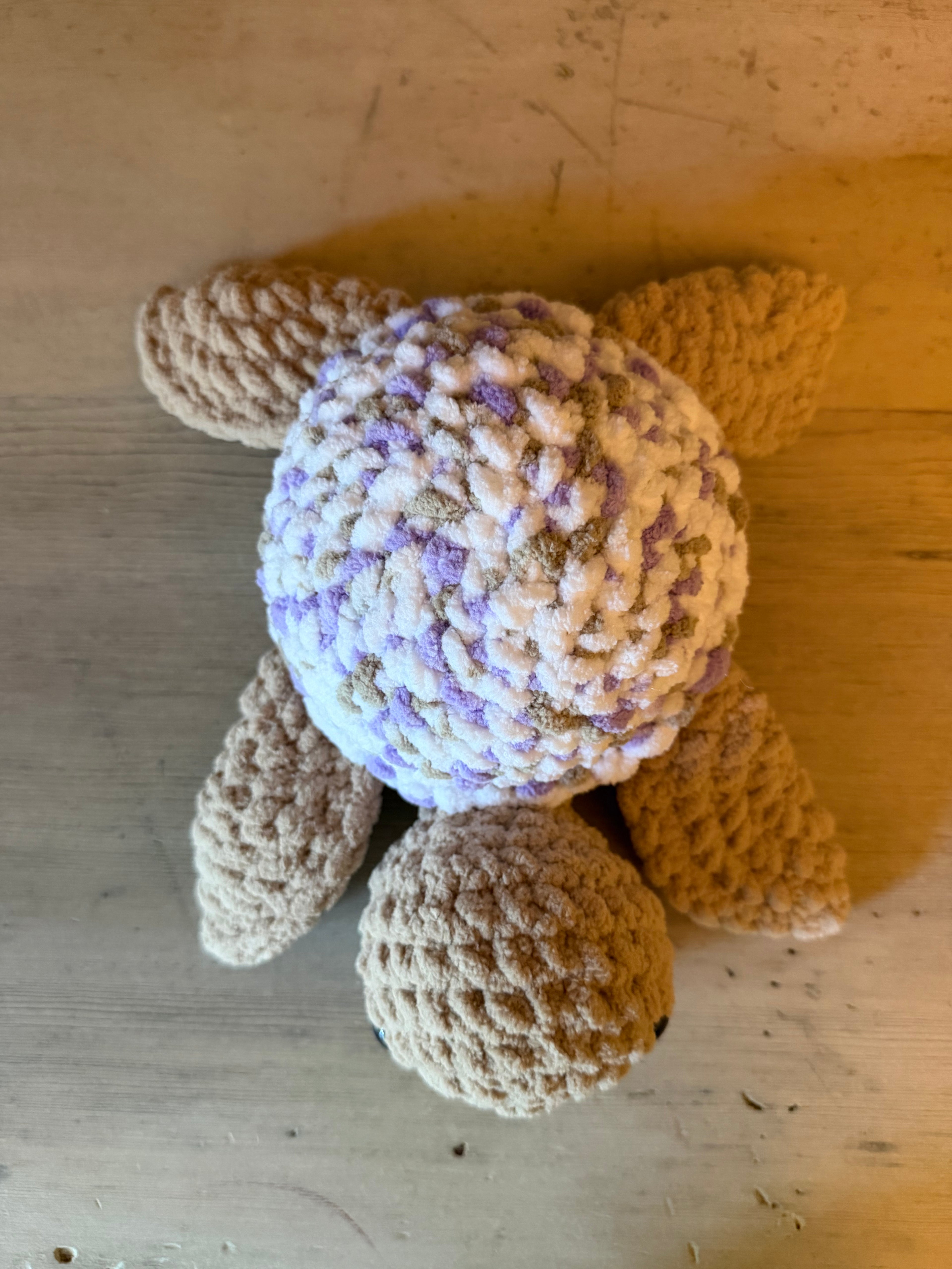 Sea Turtle
